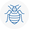 Bed Bug Extermination In Dinnington